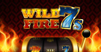 Spin Rollz wild fire 7